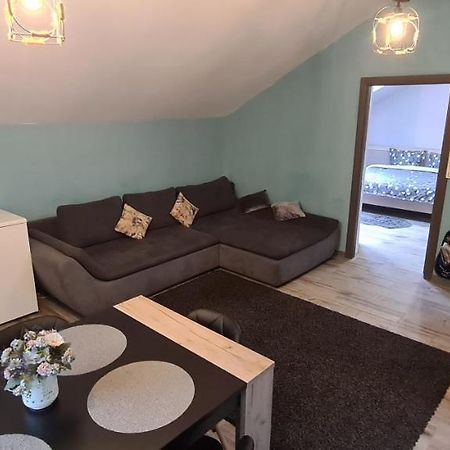 Comfort Home Apartment 3 Petroşani Exteriér fotografie
