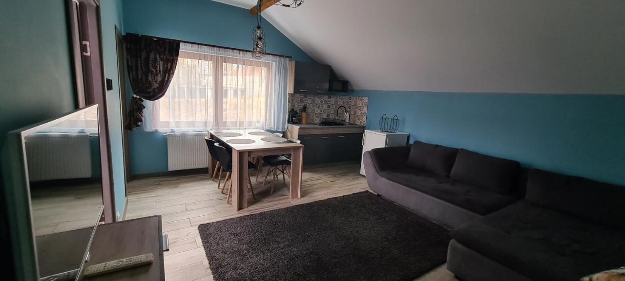 Comfort Home Apartment 3 Petroşani Exteriér fotografie