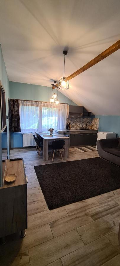Comfort Home Apartment 3 Petroşani Exteriér fotografie